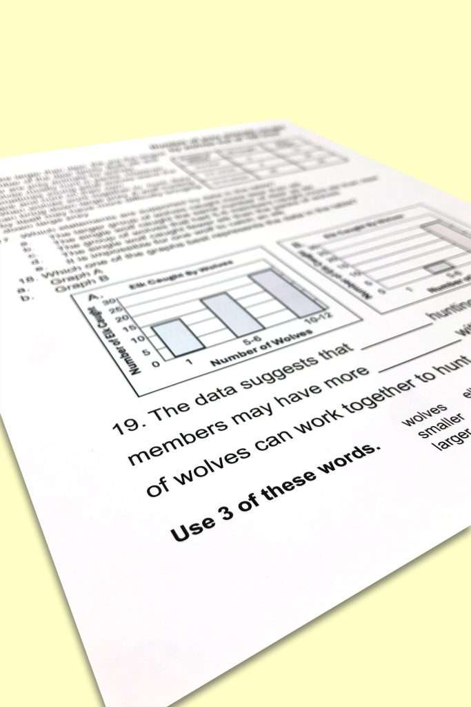 Utah RISE Practice Test