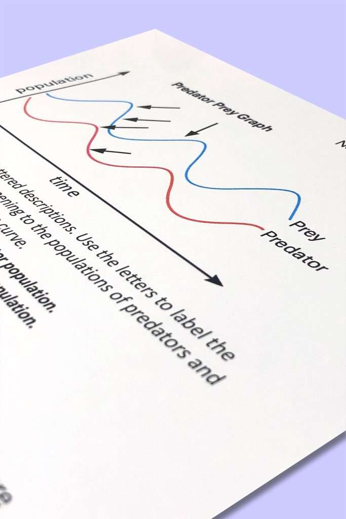 analyzing graphs ecosystem