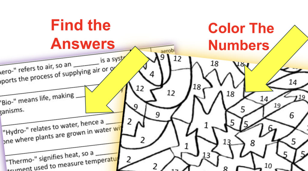 Science Vocabulary Root Words and Prefixes Review Color By Number Worksheet