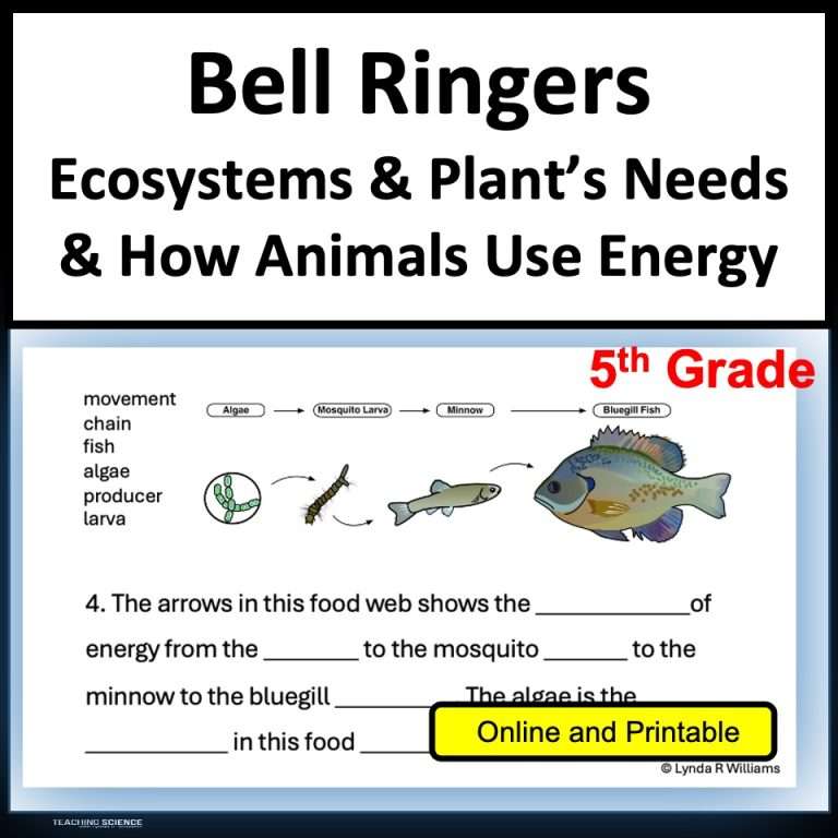 Science Bell Ringers 5th grade Ecosystems & Plant's Needs & Energy From Food