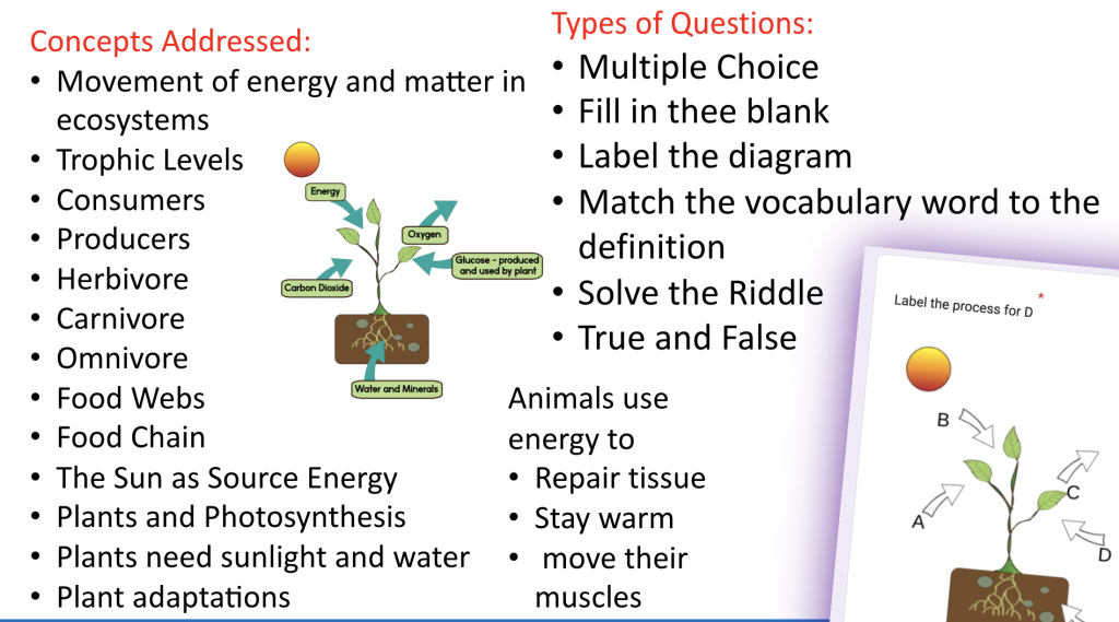 Science Bell Ringers 5th grade Ecosystems & Plant's Needs & Energy From Food