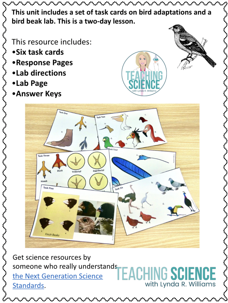 Animal Adaptations and Bird Beak Lab and Task Cards