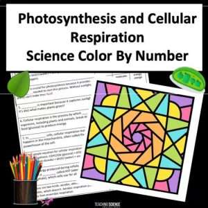 fast finishers color by number