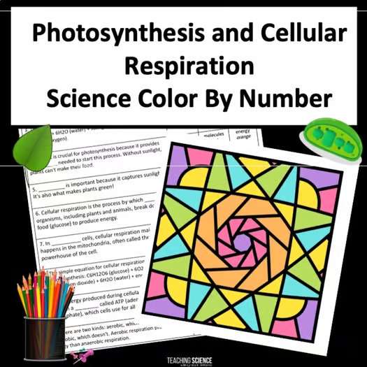 fast finishers color by number