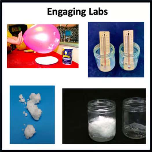 7th Grade Science Kentucky Science Standards Full Year Science Curriculum - Image 3