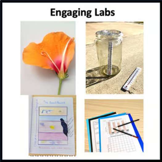 8th Grade Kentucky Science Bundle for Kentucky Academic Science Standards - Image 3