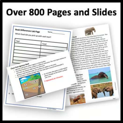 8th Grade Kentucky Science Bundle for Kentucky Academic Science Standards - Image 2