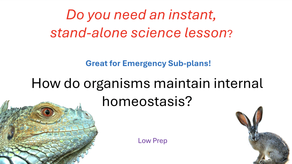 homeostasis