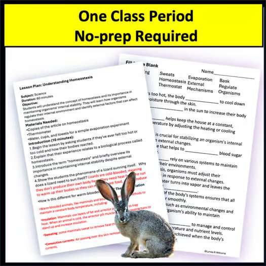 Homeostasis Science Sub Plans Informational Text Science Organisms Temperature - Image 3