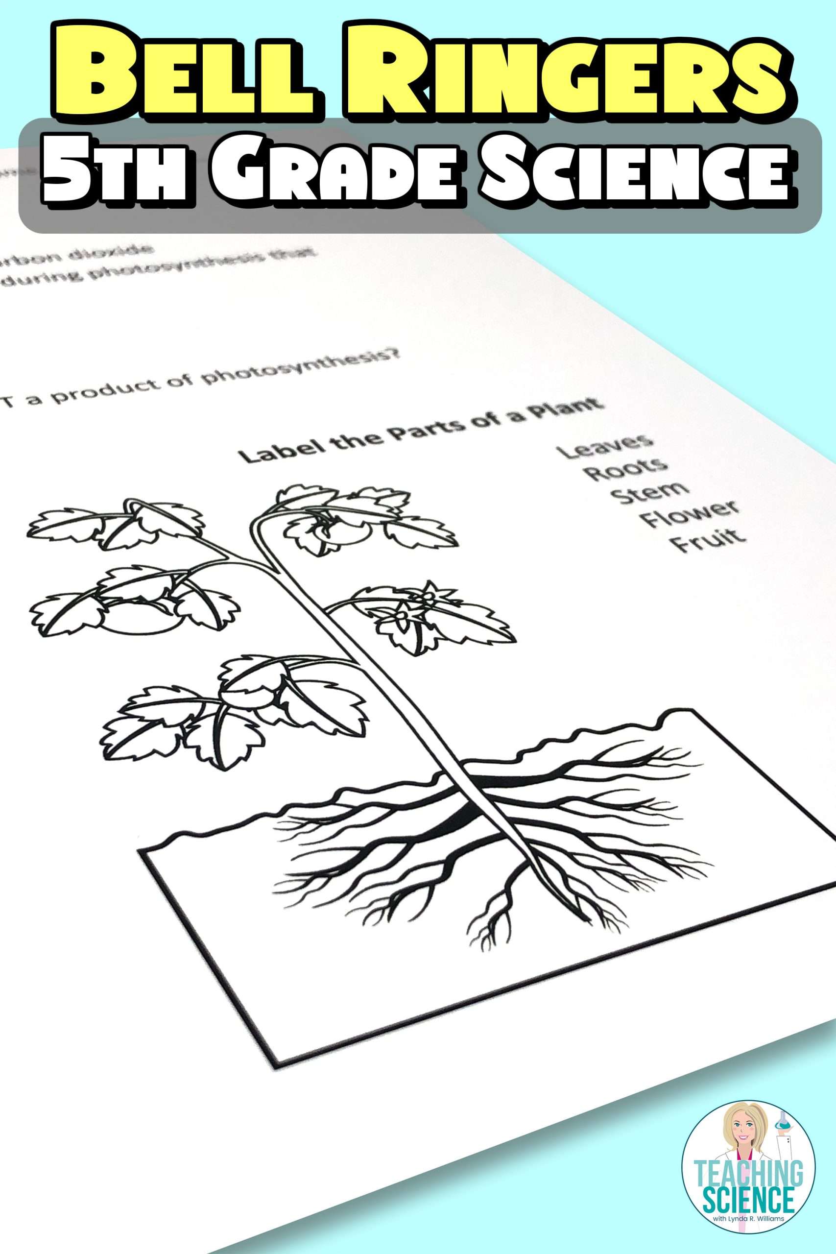 5th Grade Science Bell Ringers for Life Science