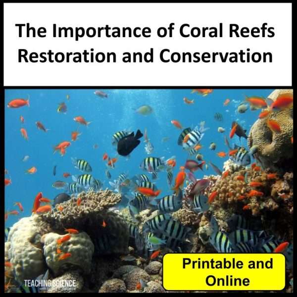 Coral Reef Restoration and Conservation