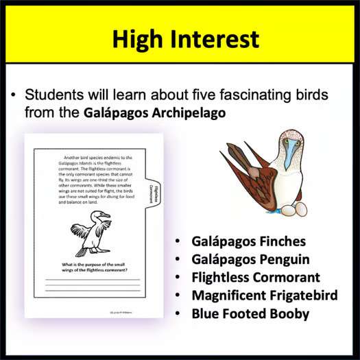 Galápagos Birds Tab Book Adaptations and Endemic SpeciesMini Book for Science - Image 2