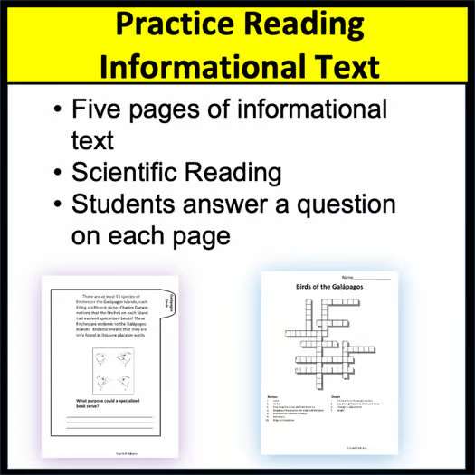 Galápagos Birds Tab Book Adaptations and Endemic SpeciesMini Book for Science - Image 3