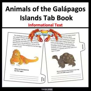 animals of the Galápagos