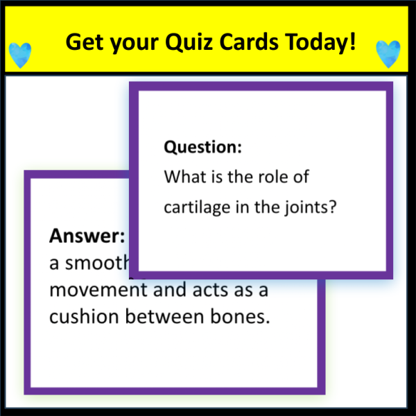 Human Body Quiz and Trade Activity - Image 4