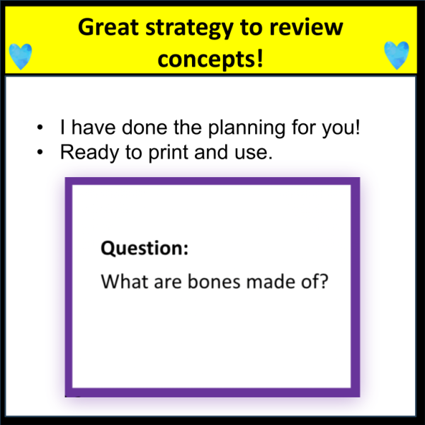 Human Body Quiz and Trade Activity - Image 3