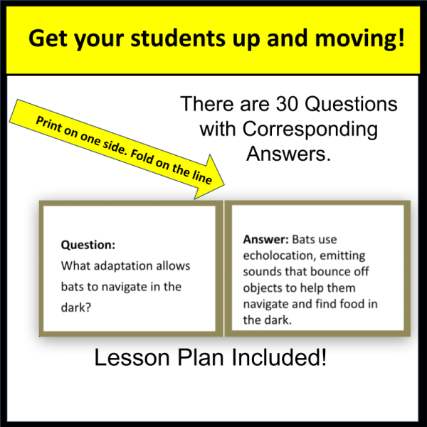 Adaptations Quiz and Trade Activity - Image 2