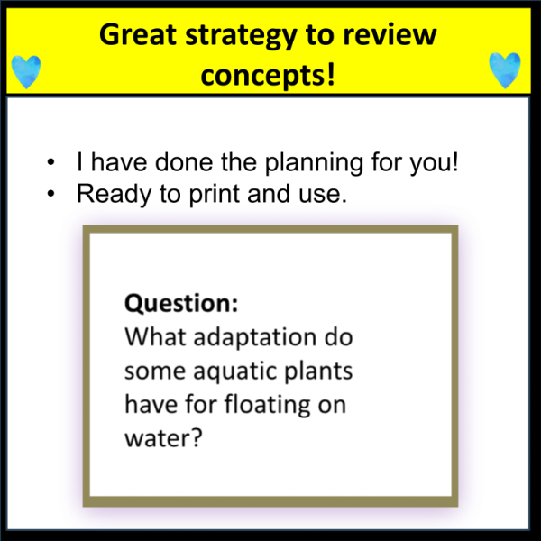 Adaptations Quiz and Trade Activity - Image 3
