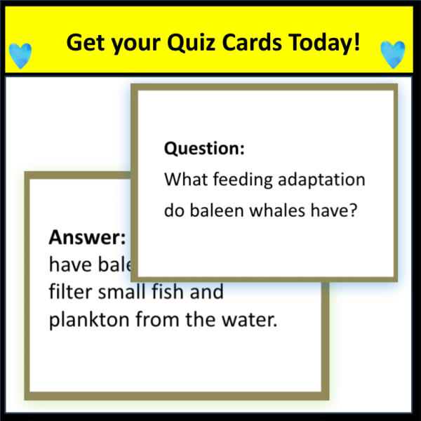Adaptations Quiz and Trade Activity - Image 4