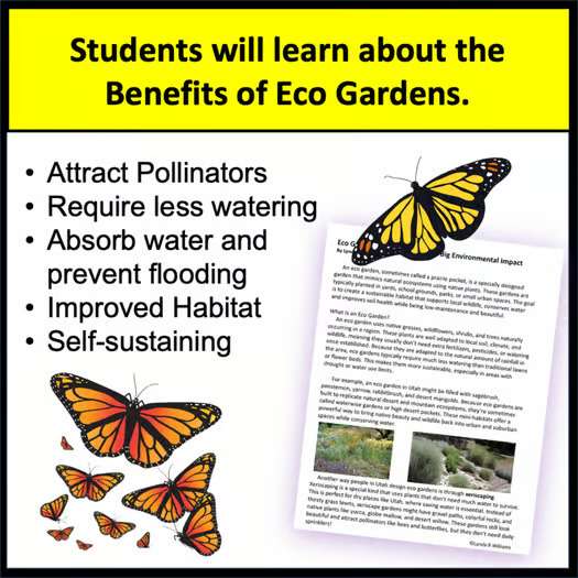 Ecosystem Project Pollinator Garden Environmental Science Ecology Project Eco Garden - Image 2