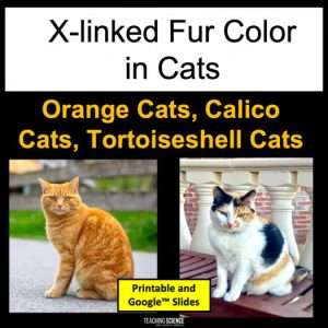 genetic traits